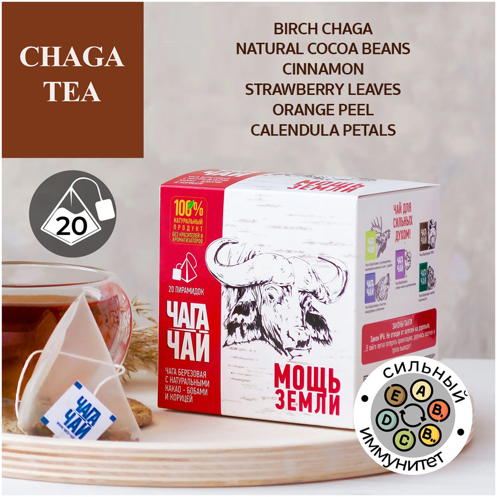 Chaga Tea with Cocoa Beans & Cinnamon "Earth Power", Russian Ivan Tea, 20 pyramids