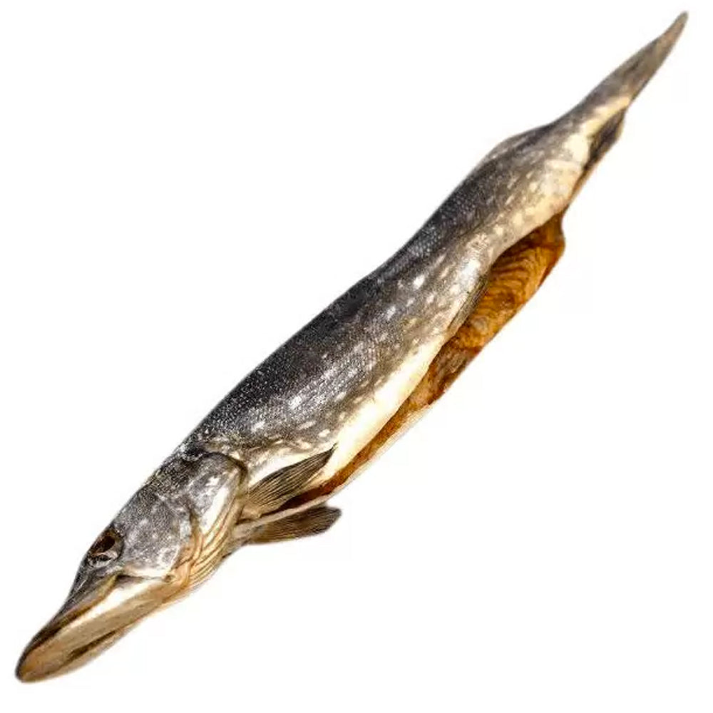 Dried Big Pike | Schuka, Majorfish, 630g/ 22.22 oz