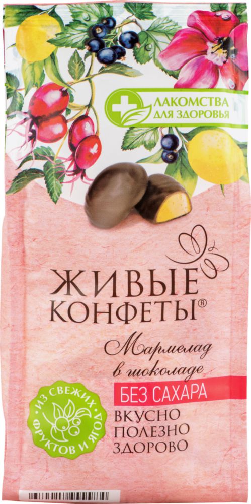 SUGAR FREE Marmalade, currants and rosehips, with lemon in dark chocolate, 150 gr/ 5.4 Oz