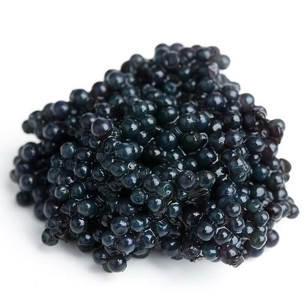 Kaluga Black Caviar, 1.1 lb (not pasteurized)