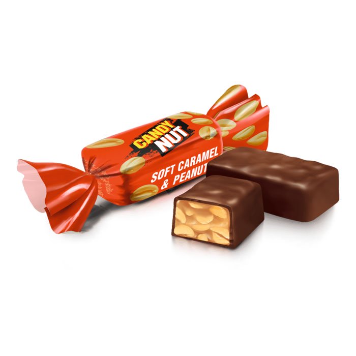 Soft Caramel w/ Roasted Peanuts in Chocolate Coating, 0.5 lb/ 226 g