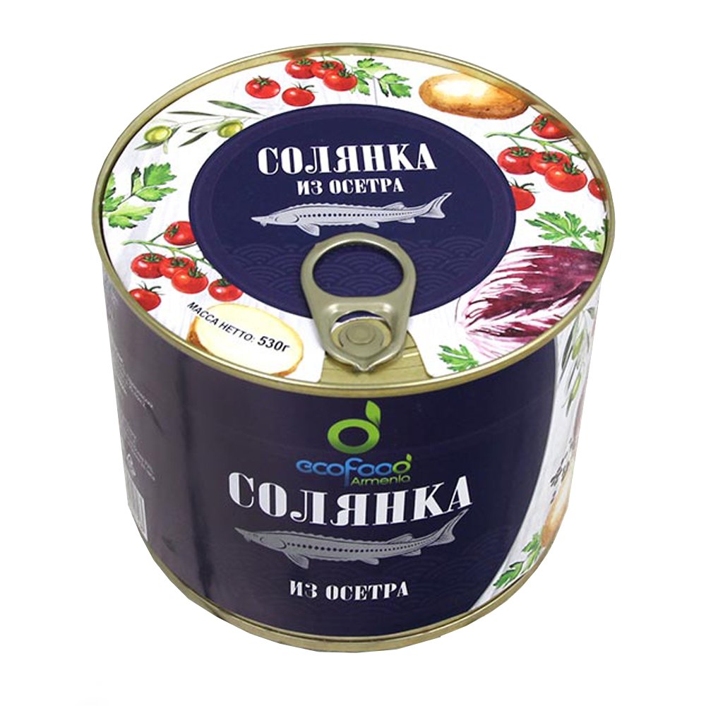 Sturgeon Soup-Solyanka, EcoFood, 1.17 lb/ 530 g